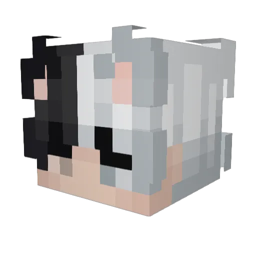 HitoshiRen Minecraft avatar head, 3D render