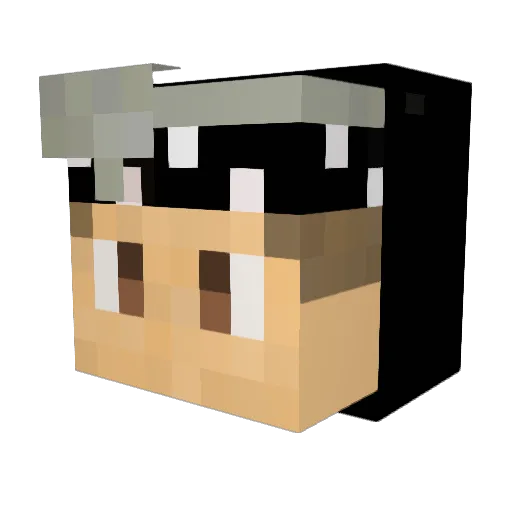 HitsLikeUrDad Minecraft avatar head, 3D render