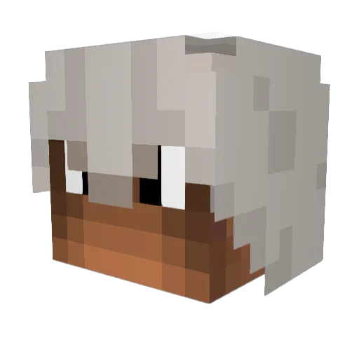 Hivizz Minecraft avatar head, 3D render