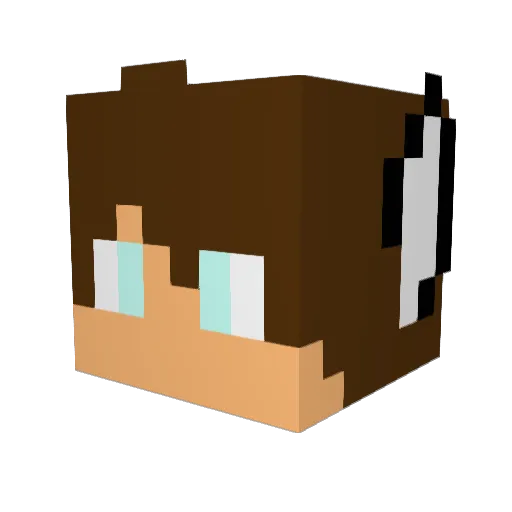 Hixerii2007 Minecraft avatar head, 3D render