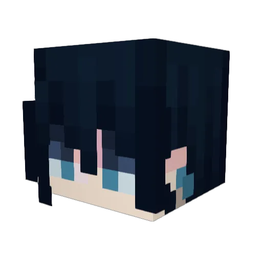 HizashiBee Minecraft avatar head, 3D render
