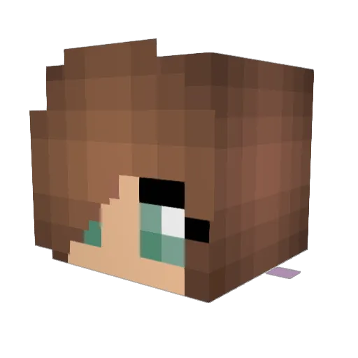 HizerNew Minecraft avatar head, 3D render