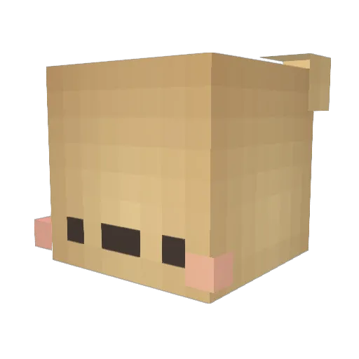 Hjalmar040 Minecraft avatar head, 3D render