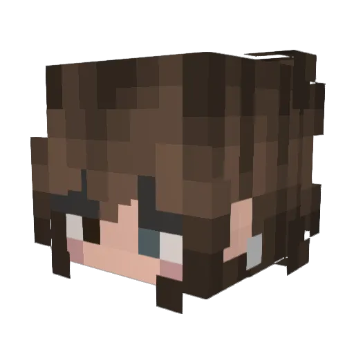 HjonkSolo Minecraft avatar head, 3D render