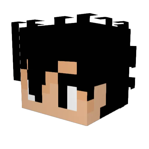HkM_2706 Minecraft avatar head, 3D render