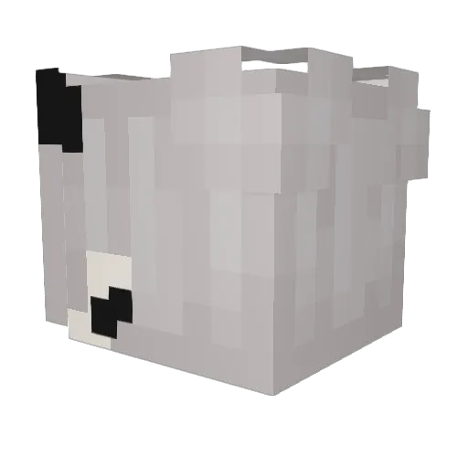 Hk_cHan Minecraft avatar head, 3D render