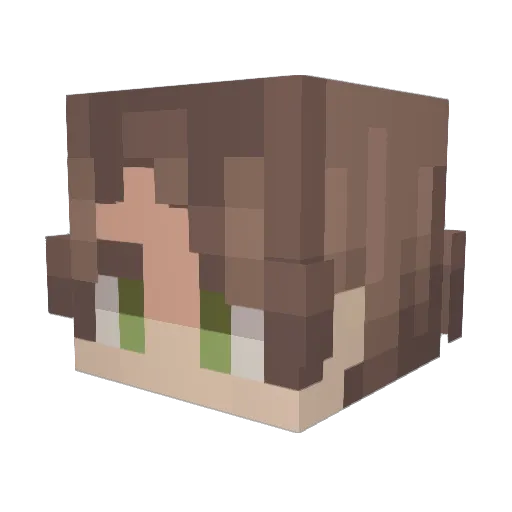 Minecraft-Avatar von Hltogaml: Kopf als 3D-Render