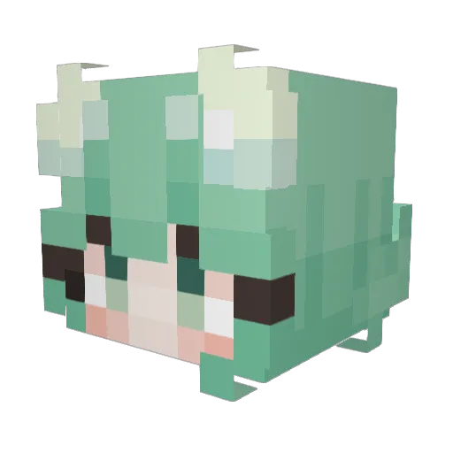 Hmaker404 Minecraft avatar head, 3D render