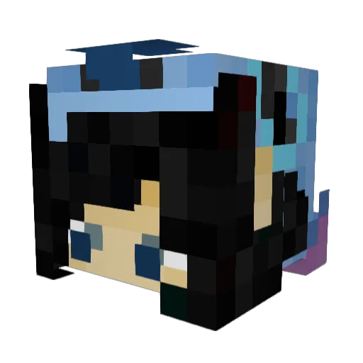 Hman1216 Minecraft avatar head, 3D render