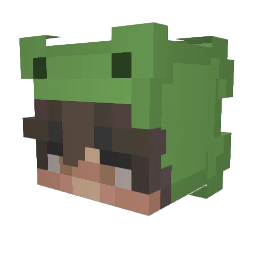 Hmc_Panda Minecraft avatar head, 3D render