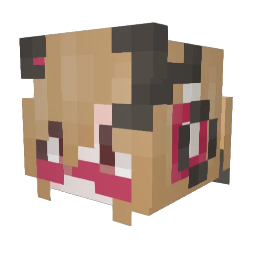 Hminxy Minecraft avatar head, 3D render