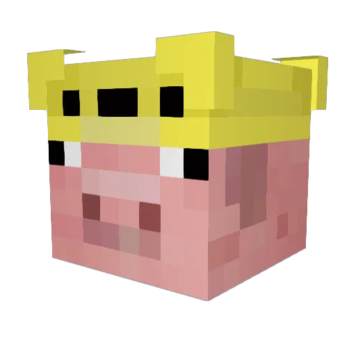 HmmmmFarina Minecraft avatar head, 3D render