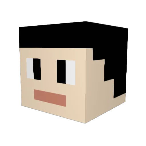 Hmody_Najfaoy Minecraft avatar head, 3D render