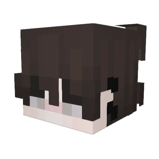 Hmptonn Minecraft avatar head, 3D render