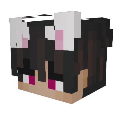 HmuyDepTrai Minecraft avatar head, 3D render
