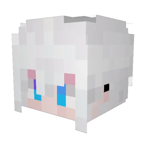 Hnox0406 Minecraft avatar head, 3D render