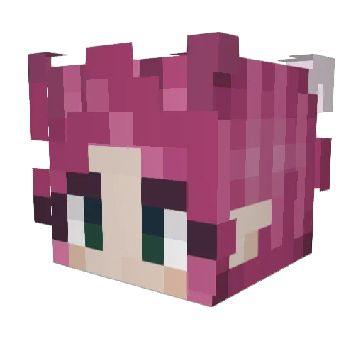 Ho0nkers Minecraft avatar head, 3D render