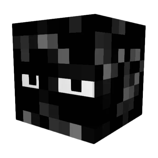 Ho1ya Minecraft avatar head, 3D render