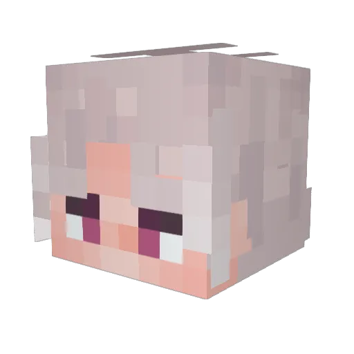 Ho1z Minecraft avatar head, 3D render