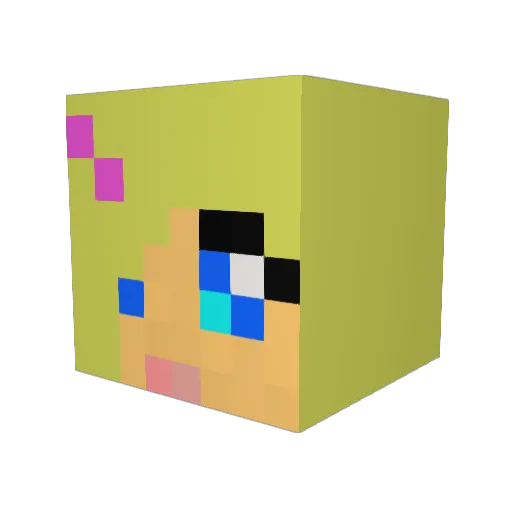Ho3caine Minecraft avatar head, 3D render