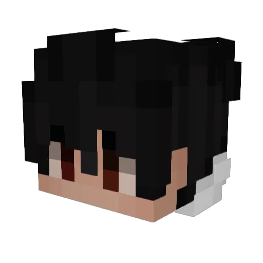 HoG_Joel Minecraft avatar head, 3D render