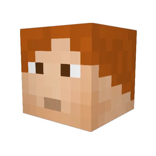 HoHoHogwarts Minecraft avatar head, 3D render