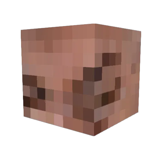 Ho_bi_bi Minecraft avatar head, 3D render