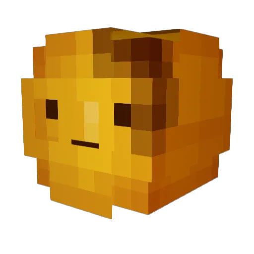 Ho_tteok Minecraft avatar head, 3D render