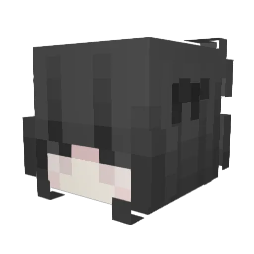 Hoax Minecraft avatar head, 3D render