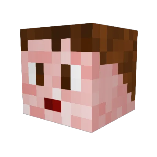 Hobacon1729 Minecraft avatar head, 3D render