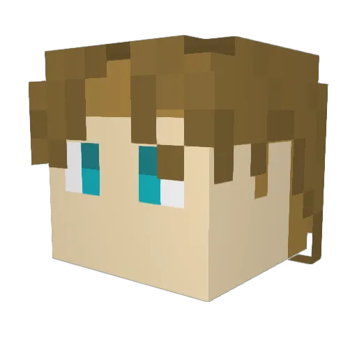 Hobbes717 Minecraft avatar head, 3D render