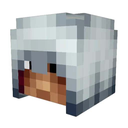 Hobbettoh Minecraft avatar head, 3D render