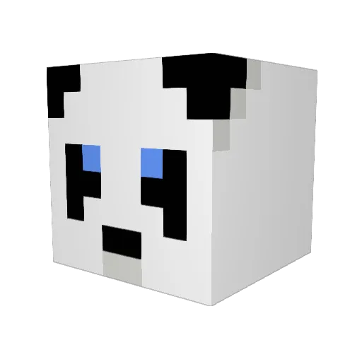 Hobbsyboy1 Minecraft avatar head, 3D render