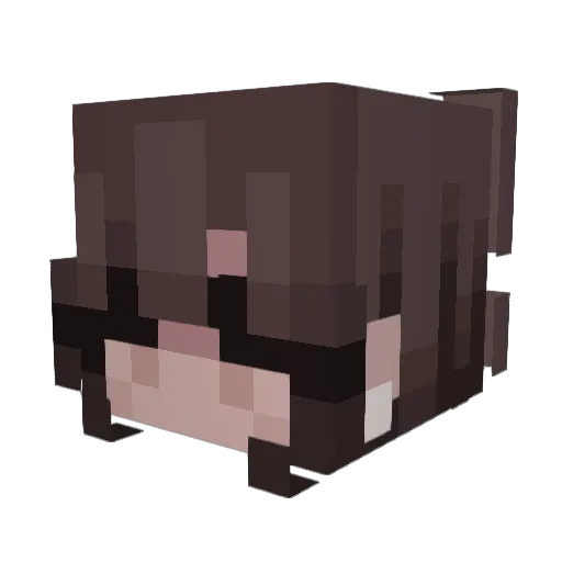 HobiHobi_ Minecraft avatar head, 3D render