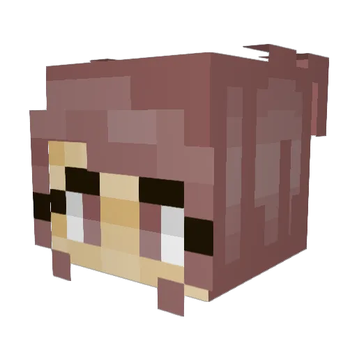 Hobi_bean Minecraft avatar head, 3D render