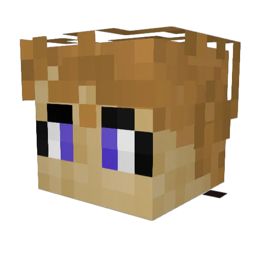 Hobo78 Minecraft avatar head, 3D render