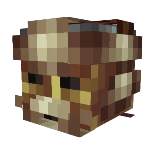 Hobo904 Minecraft avatar head, 3D render