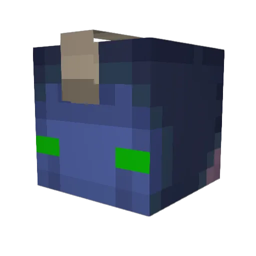 HoboBarbarian Minecraft avatar head, 3D render