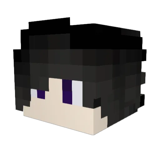 HoboBillionare Minecraft avatar head, 3D render