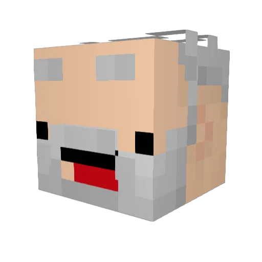 HoboCraft Minecraft avatar head, 3D render