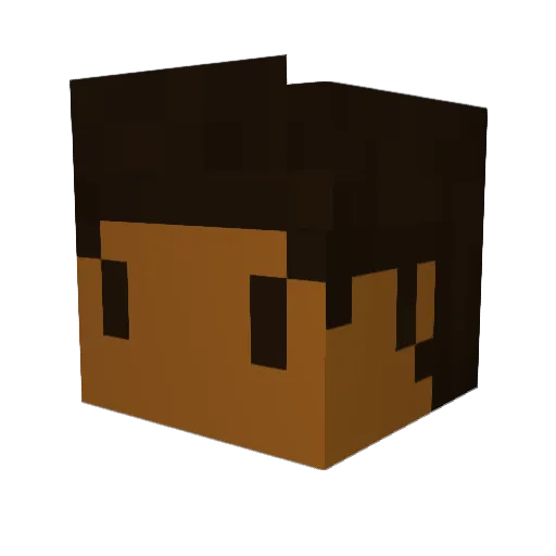 HoboFunks Minecraft avatar head, 3D render