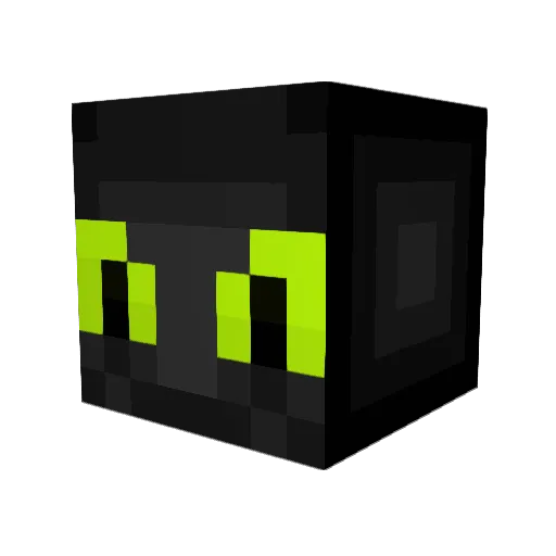 HoboHunter75 Minecraft avatar head, 3D render