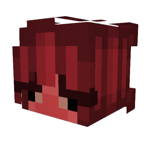 HoboOnTheStreet Minecraft avatar head, 3D render