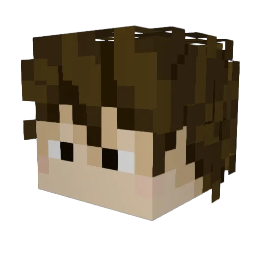Hobo_DudeX Minecraft avatar head, 3D render