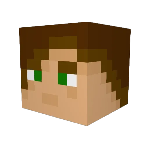 Hobo_Santa Minecraft avatar head, 3D render
