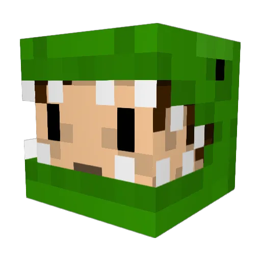 Hobobarrel Minecraft avatar head, 3D render
