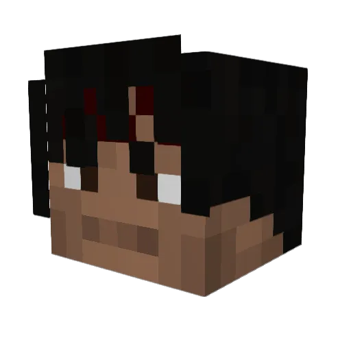 Hobomancat_ Minecraft avatar head, 3D render