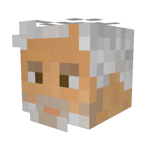 Hoby2000 Minecraft avatar head, 3D render