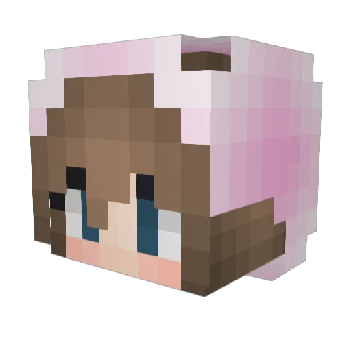 Hochgeschlafn Minecraft avatar head, 3D render