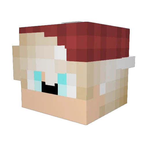 Hockey17rules Minecraft avatar head, 3D render